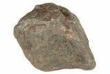 Canyon Diablo Iron Meteorite ( g) - Arizona #270671-1